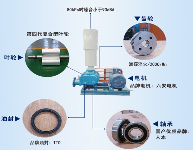 章丘豐源機械羅茨鼓風(fēng)機產(chǎn)品結(jié)構(gòu)說明圖 圖片關(guān)鍵詞